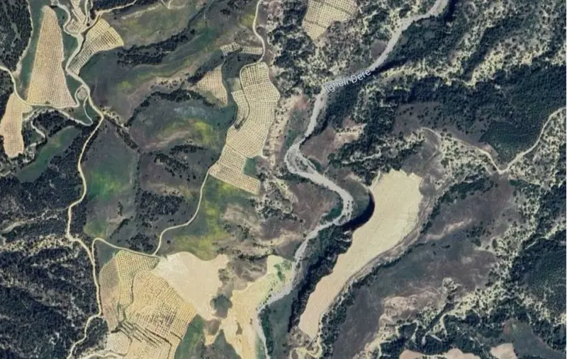 Denizli, Pamukkale, Satılık, Tarla — fotoğraf 1