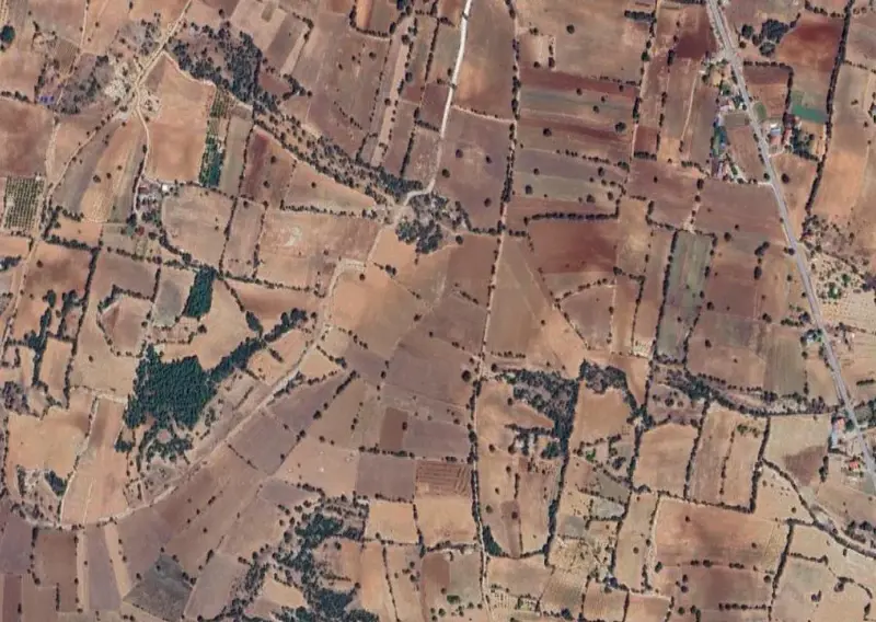 1748.jpg