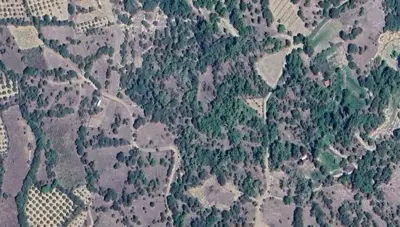 Denizli, Merkezefendi, Satılık, Tarla