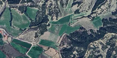 Denizli, Pamukkale, Satılık, Tarla