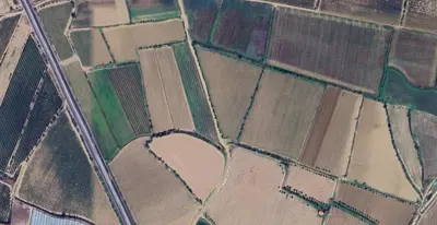 Denizli, Buldan, Satılık, Tarla