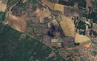 Denizli, Tavas, Satılık, Tarla