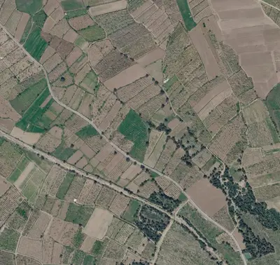 Denizli, Menteşe, Tarla