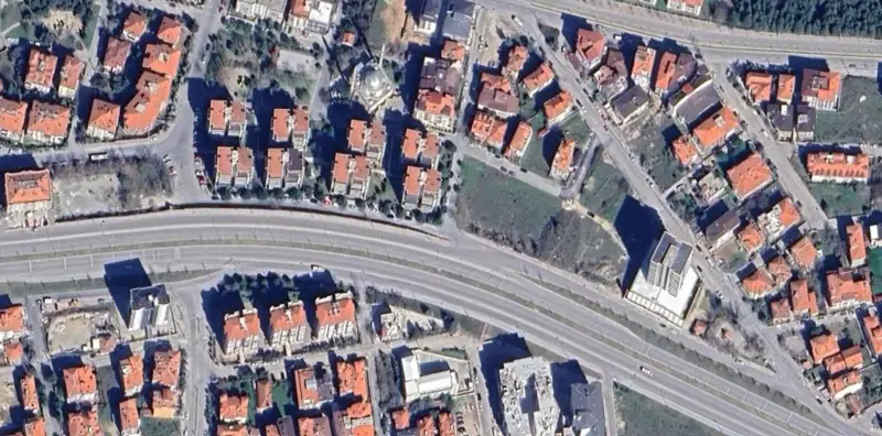 397.jpg