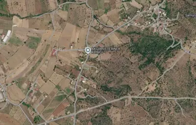 Muğla, Bodrum, Satılık, Tarla