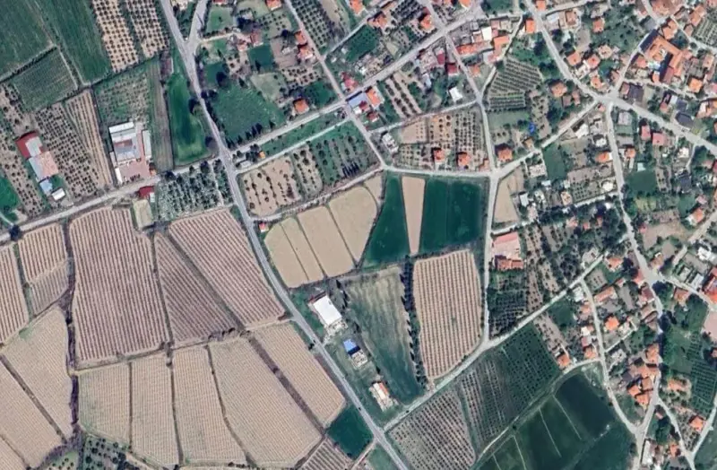 1747.jpg