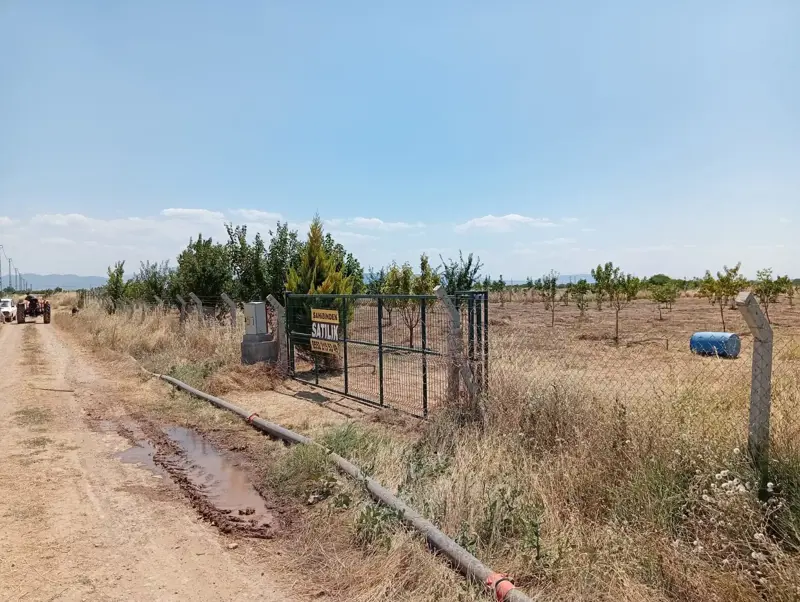 Denizli, Kızılcabölük, Tarla — fotoğraf 6