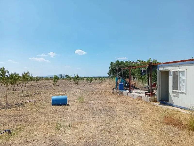 Denizli, Kızılcabölük, Tarla — fotoğraf 3