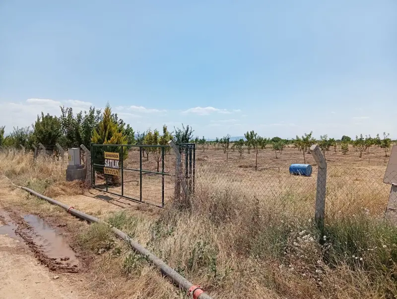 Denizli, Kızılcabölük, Tarla — fotoğraf 2