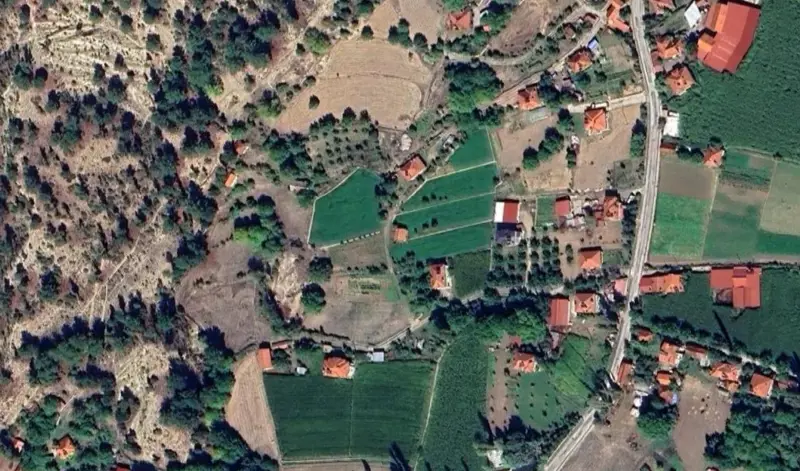 334.jpg