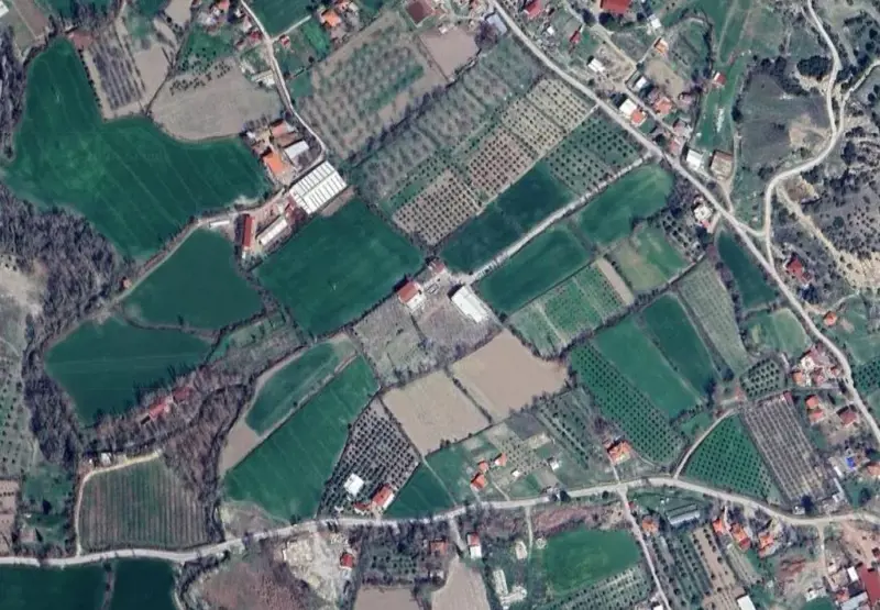 1769.jpg