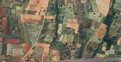 Denizli, Tavas, Satılık, Tarla
