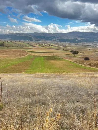 Denizli, Tavas, Satılık, Tarla