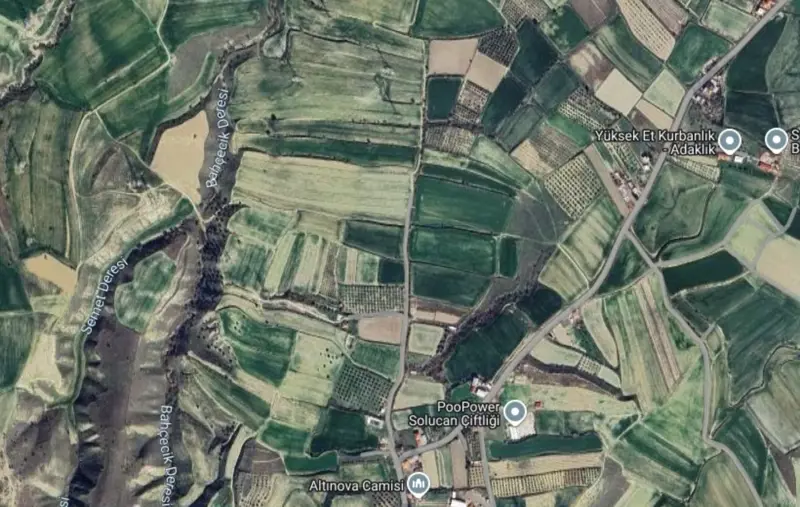 Denizli, Altıntepe, Tarla — fotoğraf 1