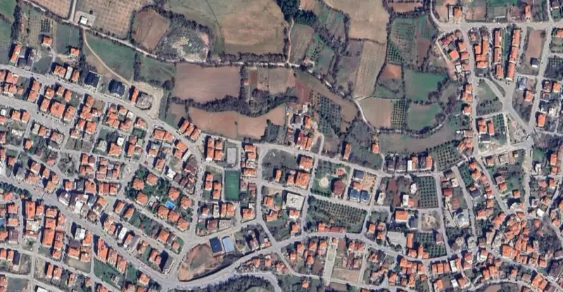 276.jpg