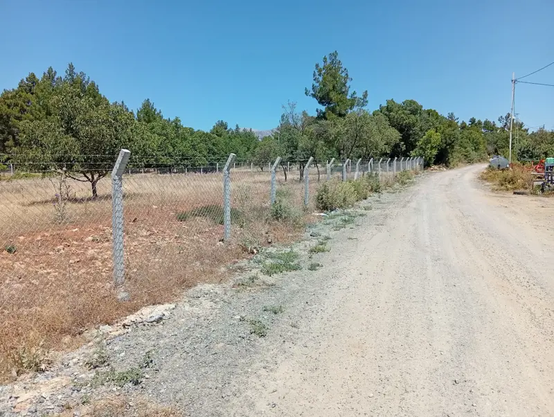 Denizli, Kızılcabölük, Tarla — fotoğraf 2