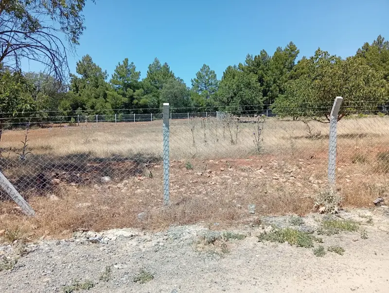 Denizli, Kızılcabölük, Tarla — fotoğraf 5