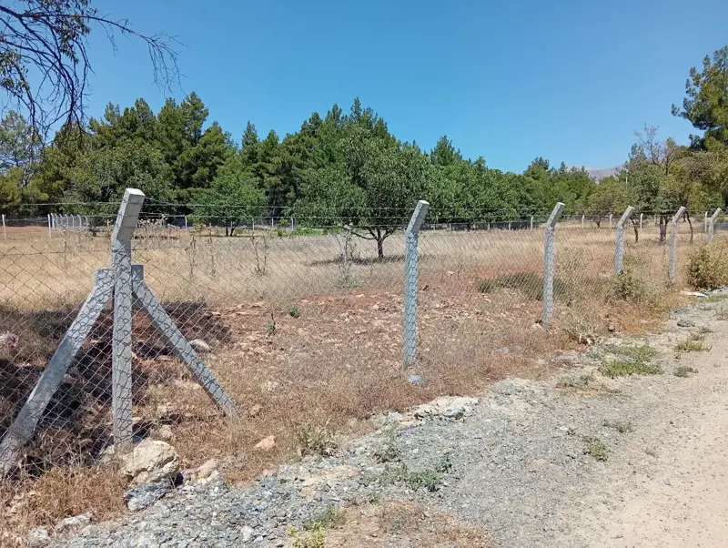 Denizli, Kızılcabölük, Tarla — fotoğraf 4
