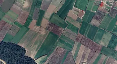 Denizli, Honaz, Satılık, Tarla