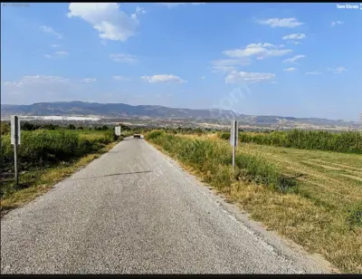 Denizli, Çeltikçi, Tarla