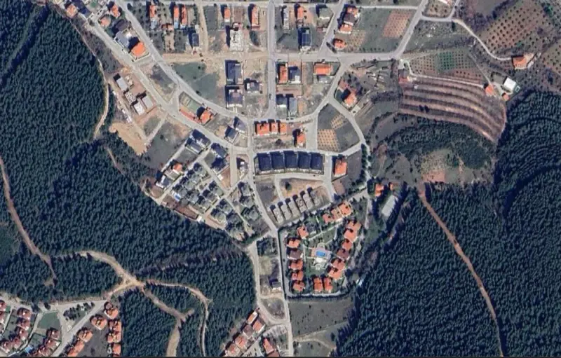 1956.jpg