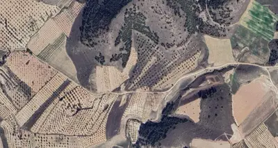 Denizli, Pamukkale, Satılık, Tarla