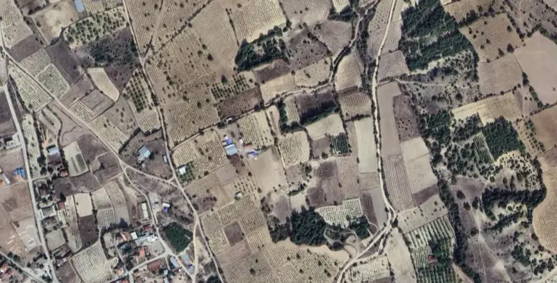 1354.jpg