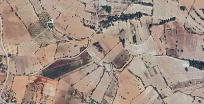 Denizli, Pamukkale, Satılık, Tarla