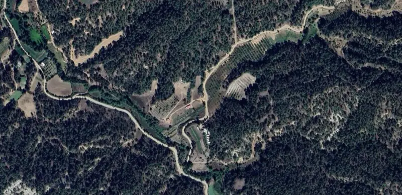 615.jpg