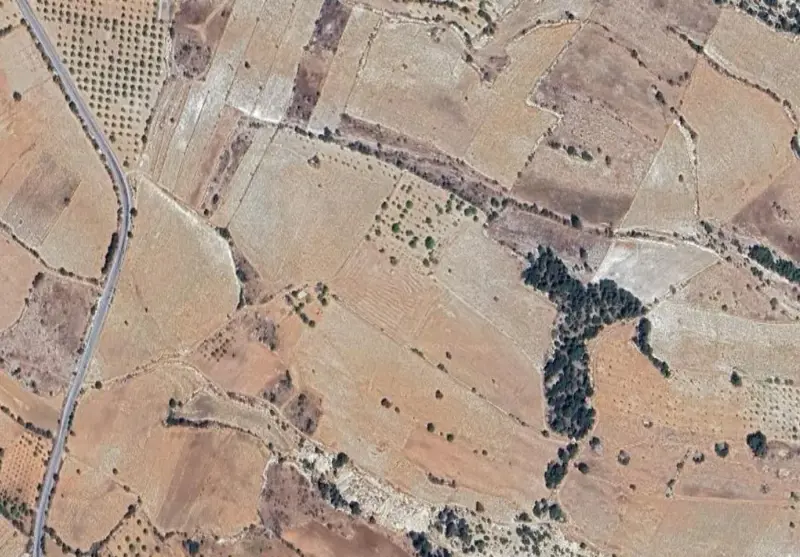 1819.jpg