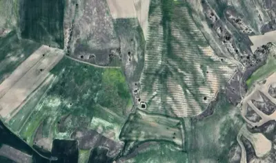 Denizli, Bozkurt, Satılık, Tarla
