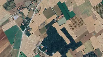 Denizli, Acıpayam, Satılık, Tarla