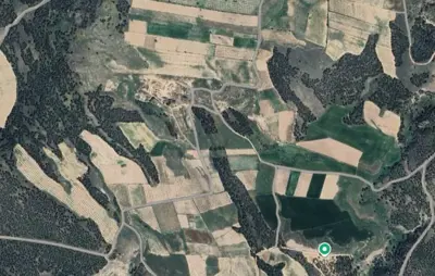 Denizli, Pamukkale, Satılık, Tarla