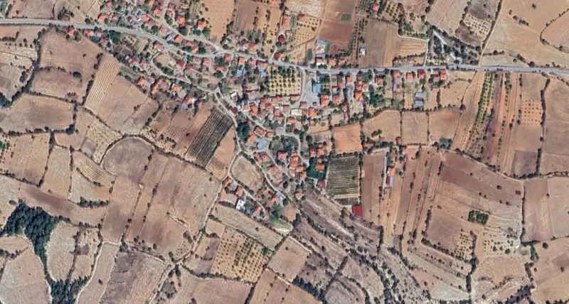 266.jpg