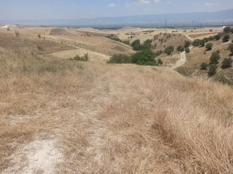 440ab879-b8ef-4eb1-ab5d-2c731da8c267.jpeg