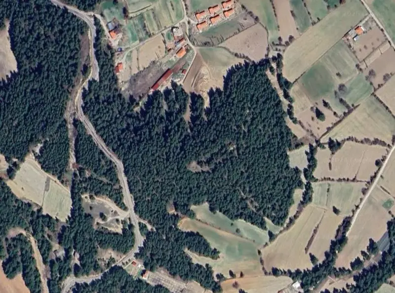 1717.jpg