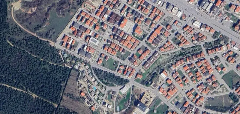 710.jpg