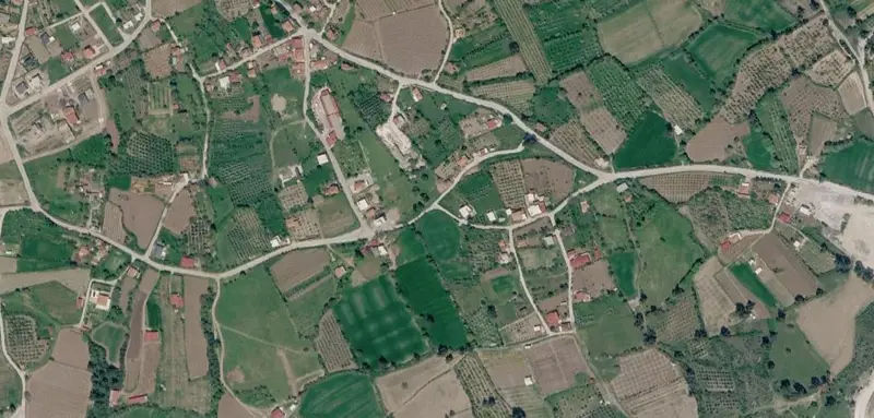 1467.jpg