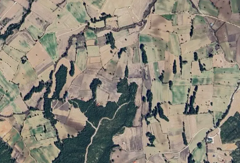 Denizli, Pamukkale, Satılık, Tarla — fotoğraf 1