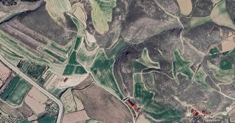1446.jpg