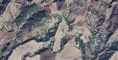 Denizli, Pamukkale, Satılık, Tarla