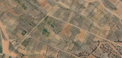Denizli, Tavas, Satılık, Tarla