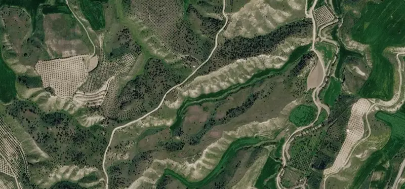 685.jpg
