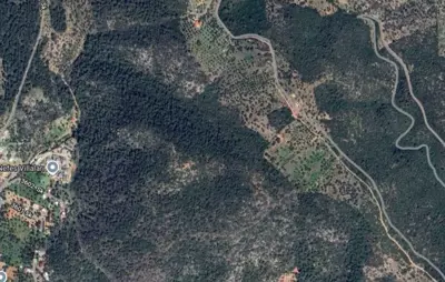 Muğla, Bodrum, Satılık, Tarla
