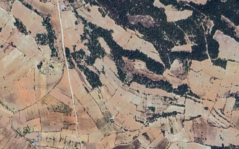Denizli, Pamukkale, Satılık, Tarla — fotoğraf 1