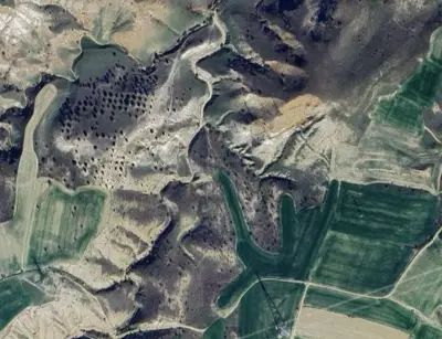 Denizli, Pamukkale, Satılık, Tarla