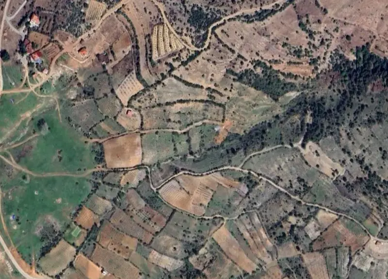 1780.jpg