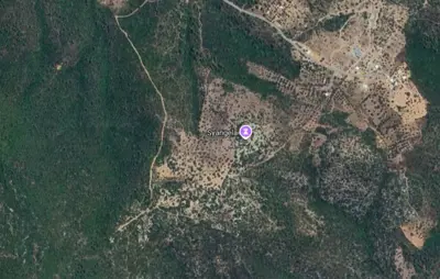 Muğla, Bodrum, Satılık, Tarla