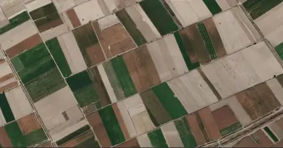Denizli, Çal, Satılık, Tarla