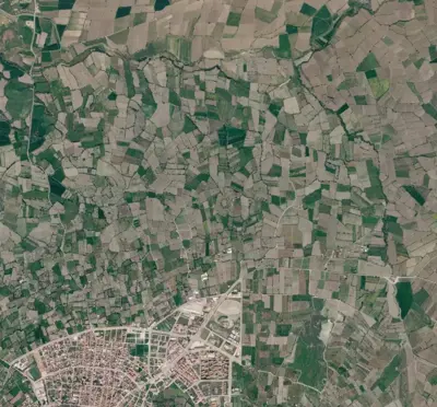 Denizli, Honaz, Satılık, Tarla
